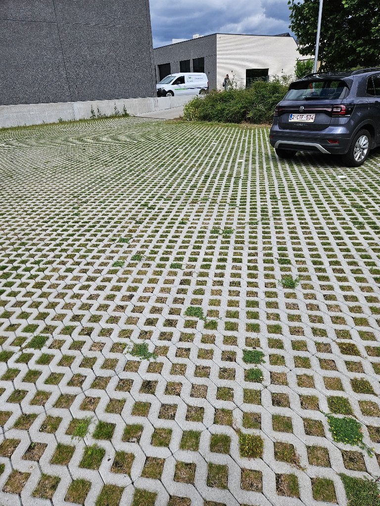 Bornem Parkeerplaatsen te huur