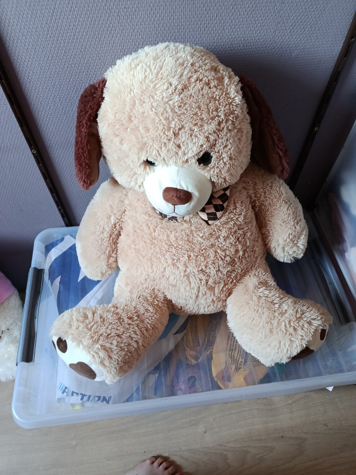 grote knuffel beer, Ophalen, Beer
