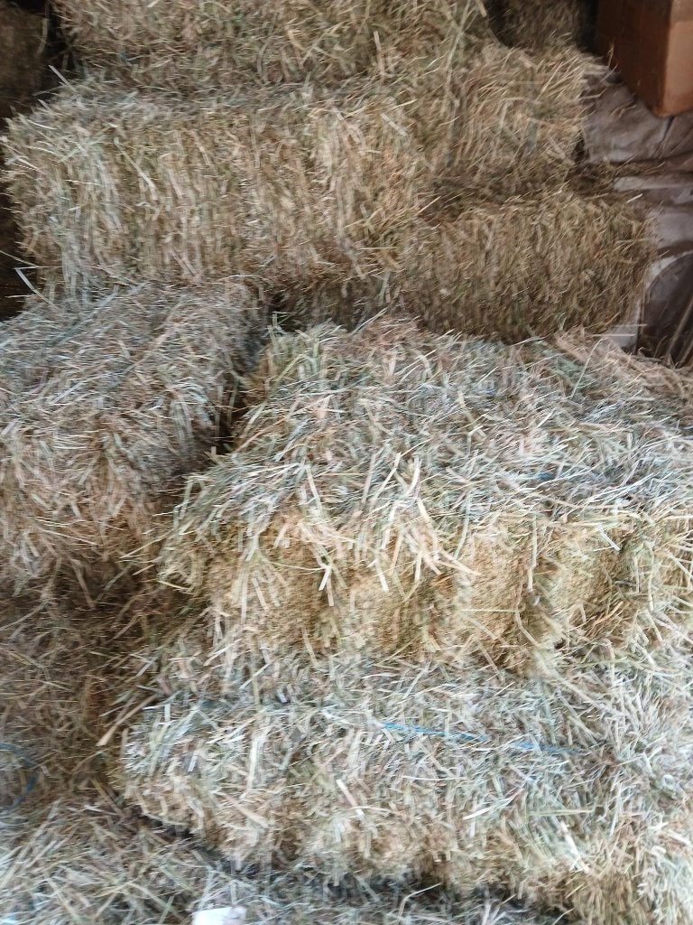 hooi 2026, kleine balen ongev 20 kg, Ophalen, Nieuw