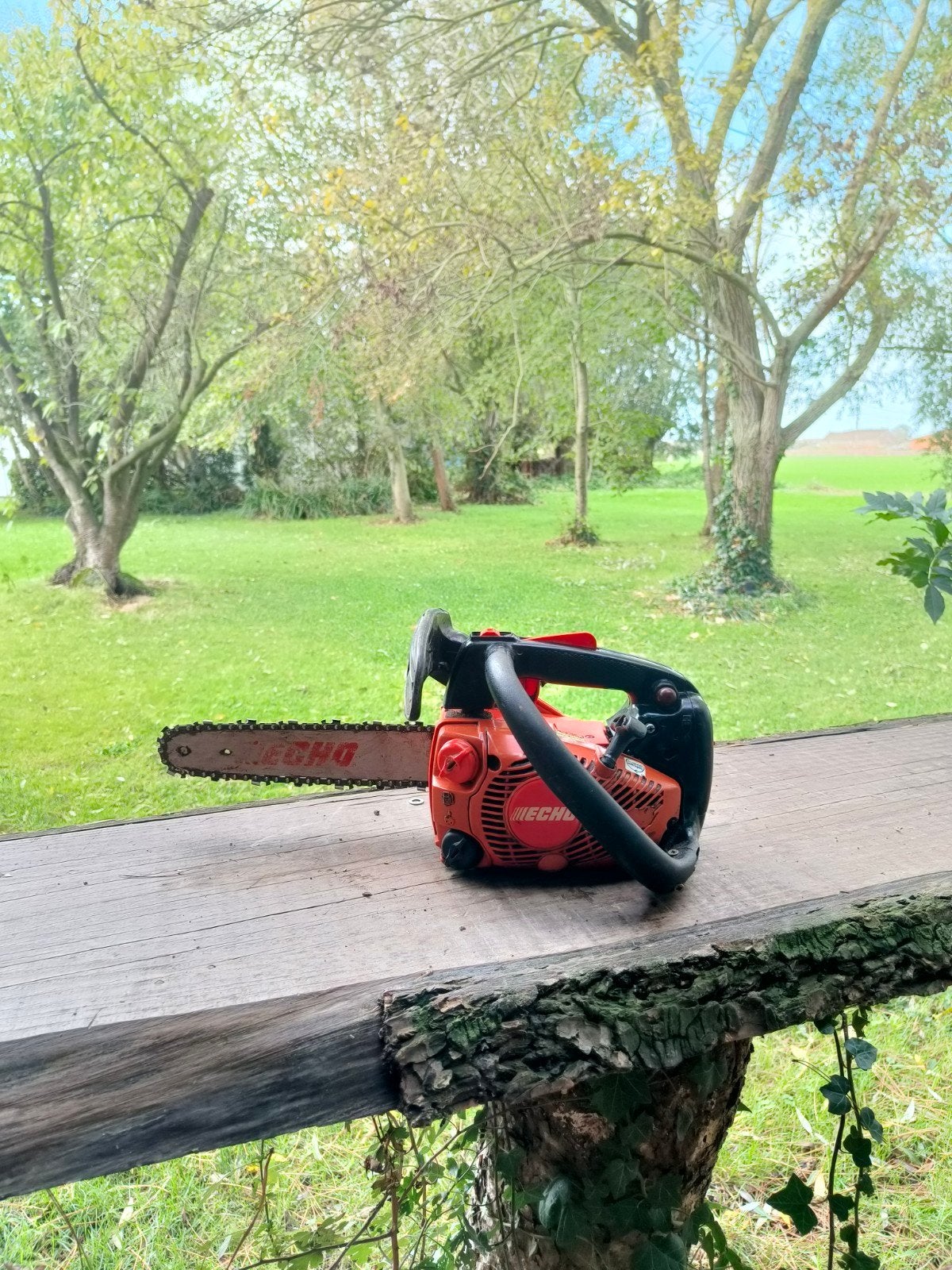 Echo cs260tes tophandle zaag, Tuin en Terras, Ophalen