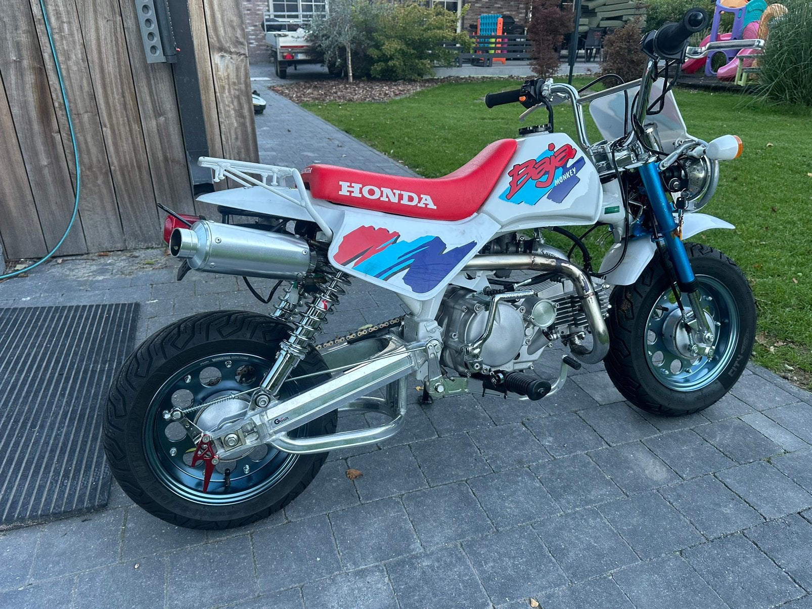 Baja monkey, Enlèvement