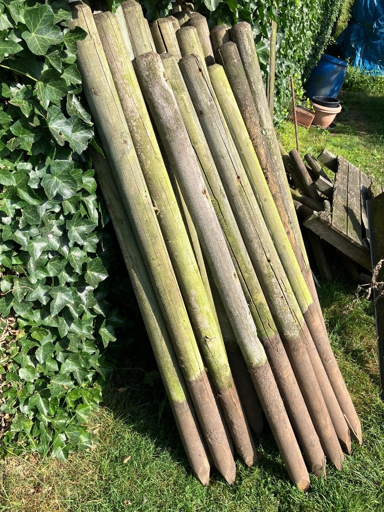 Palen- weipalen, Tuin en Terras, Ophalen, Gebruikt, Minder dan 180 cm, Palen