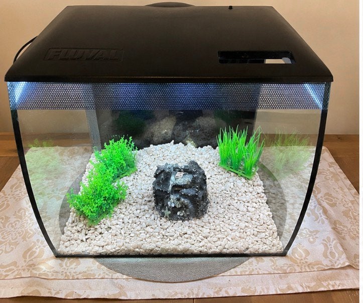 Fluval Flex aquarium – modern & compleet!, Dieren en Toebehoren, Ophalen, Gebruikt, Leeg aquarium, Fluval
