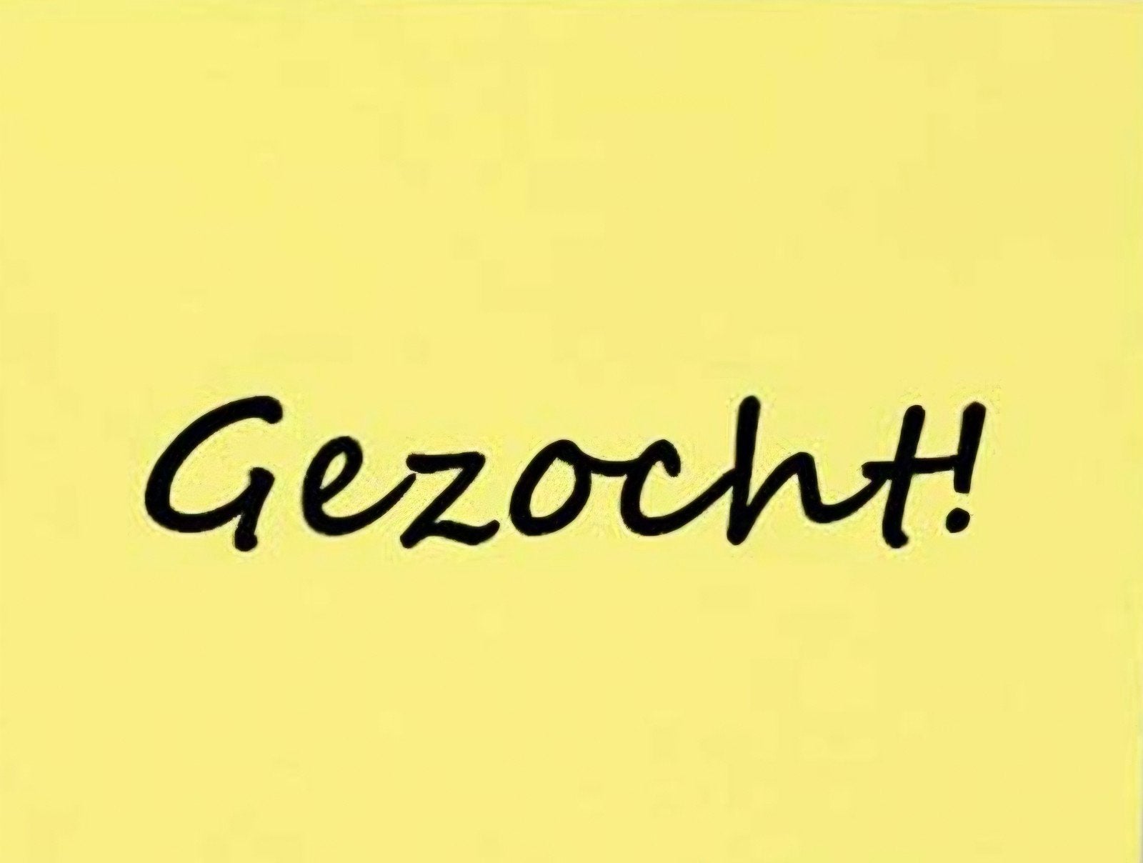 B pony gezocht voor een absolute beginner