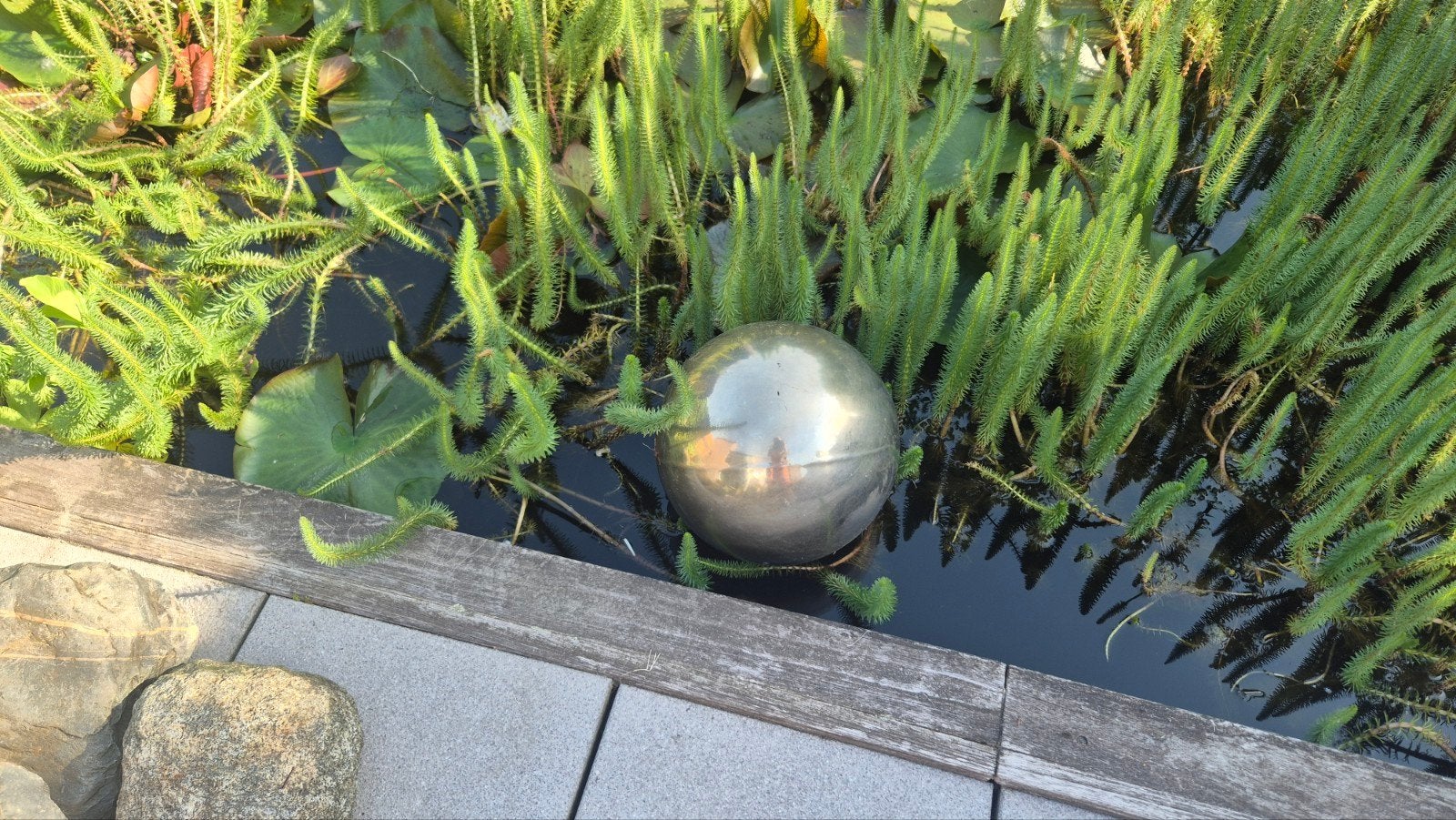 Fonteinbol en reigerbollen, Tuin en Terras, Vijvers, Ophalen