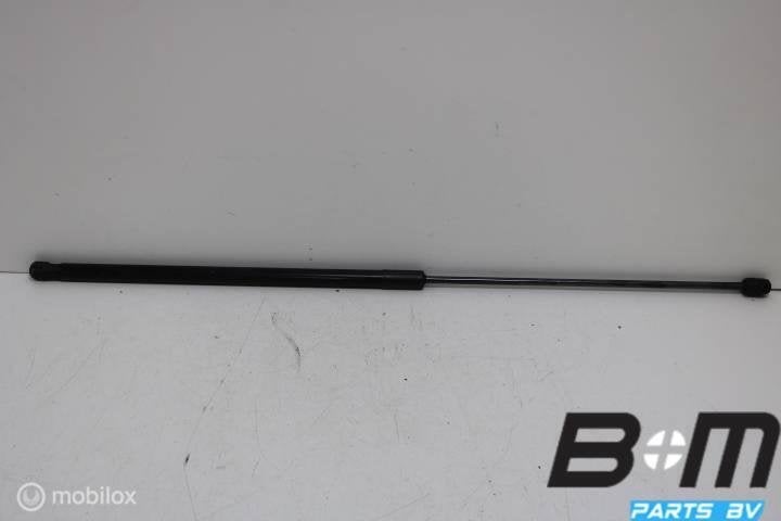 Gasdrukveer motorkap Audi A4 8K 8T0823359, Gebruikt