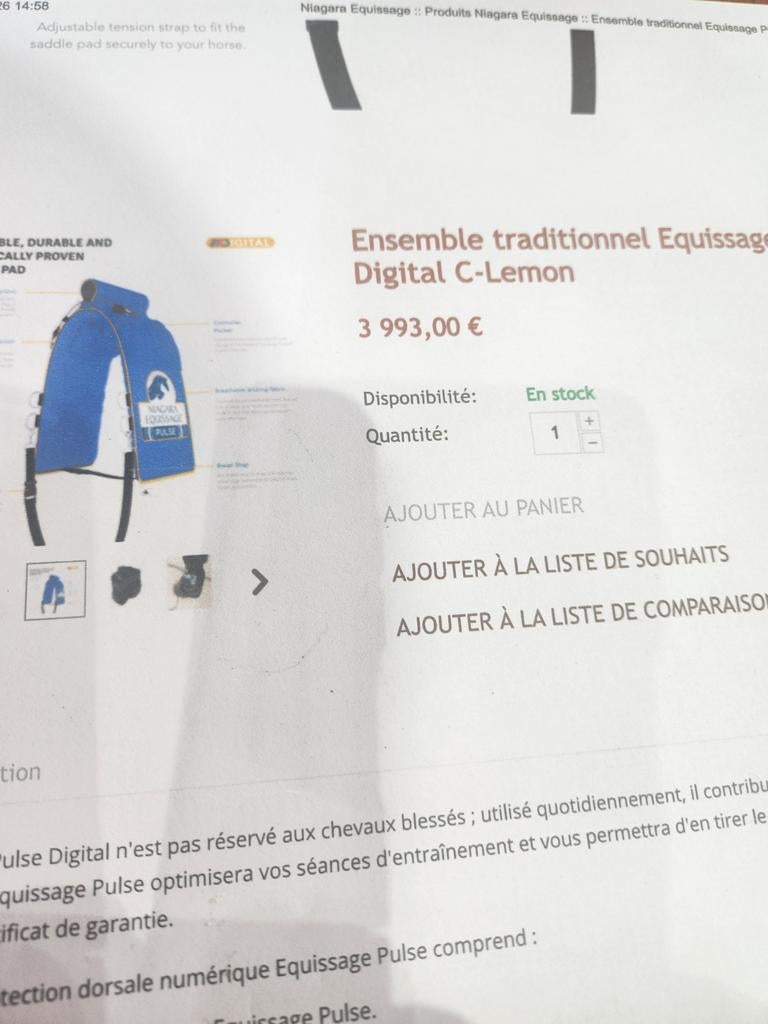 Ceinture de massage pour chevaux, Animaux & Accessoires, Chevaux & Poneys | Produits de soin