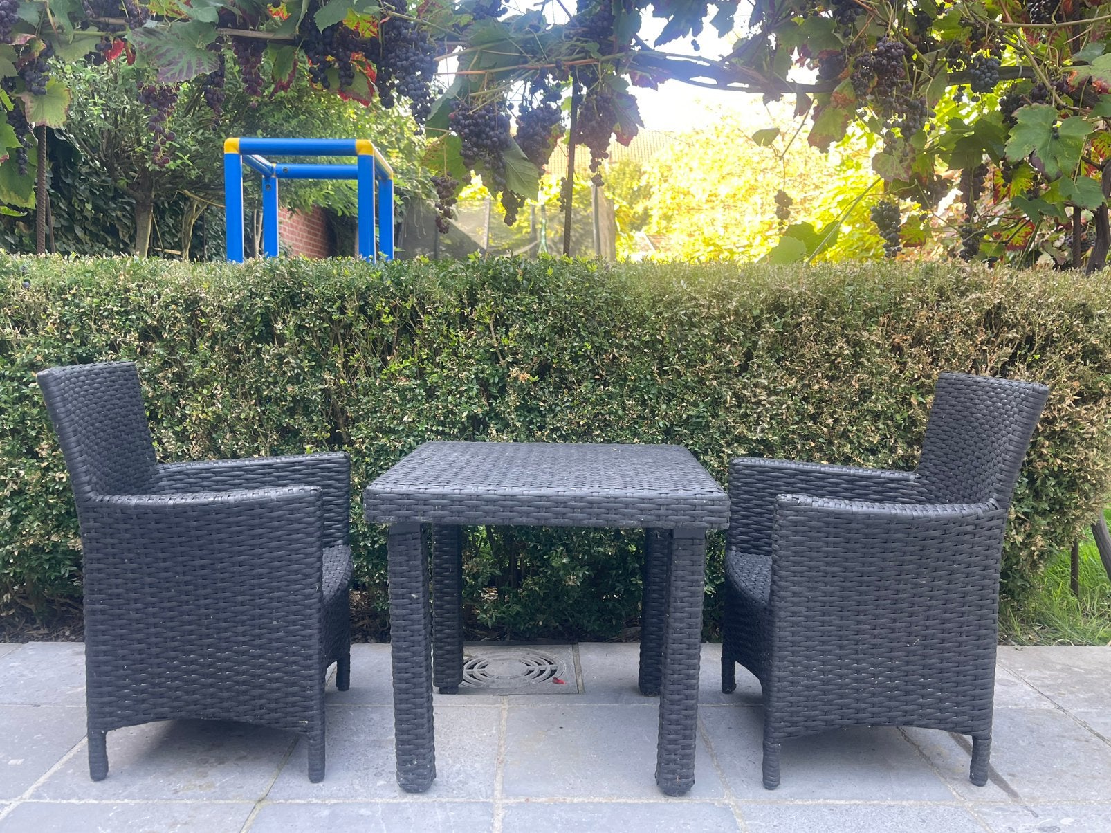 Rattan KINDERtuinset (tafel + 2 stoeltjes), Rotan, Zo goed als nieuw, Tuinset, Ophalen