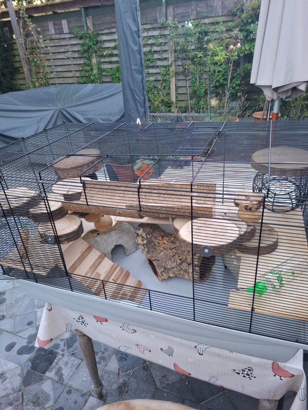 mooie knaagdieren hok, Dieren en Toebehoren, Hamster, Zo goed als nieuw, Hok, 75 tot 110 cm