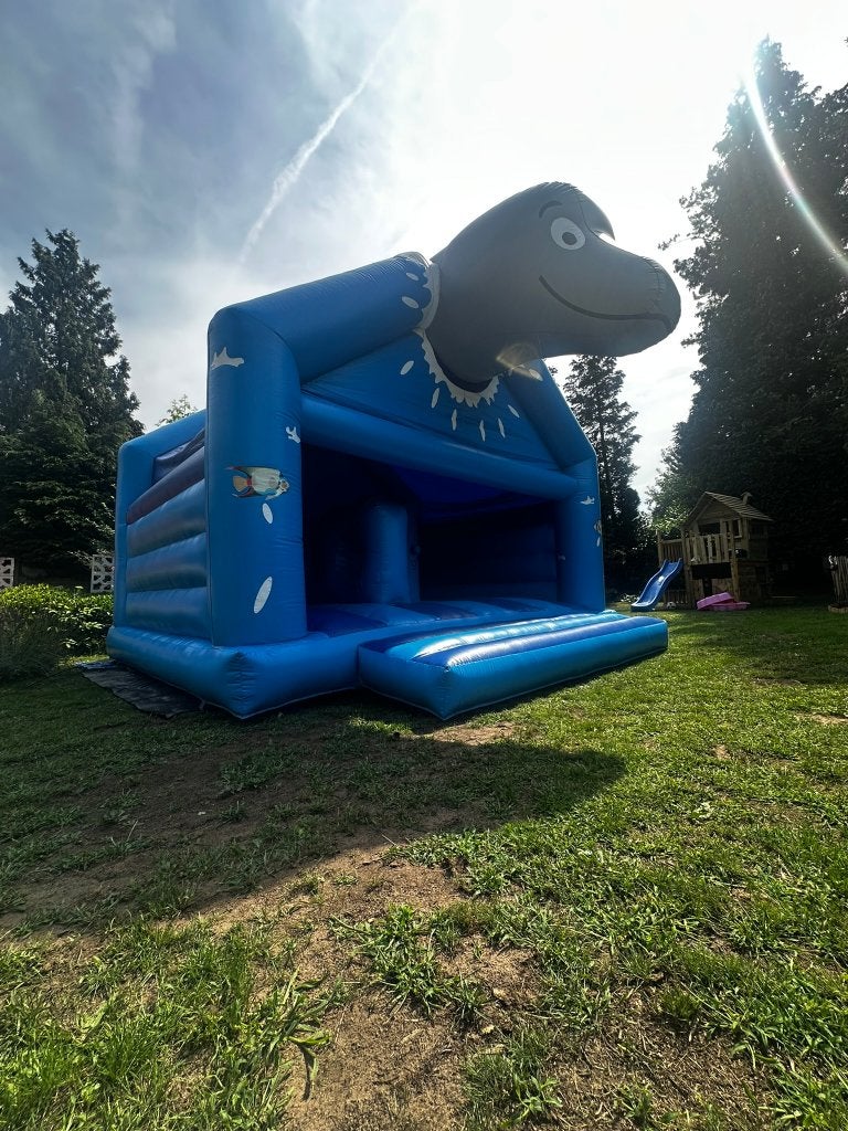 Springkasteel dolfijn, Ophalen, Gebruikt