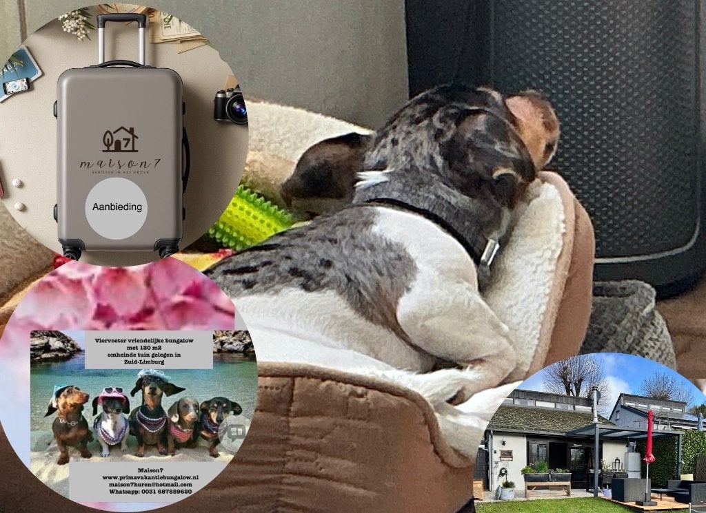 Last minute bungalow Zuid-Limburg omheinde tuin hond welkom, Eigenaar
