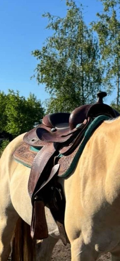 Western zadel pools, Dieren en Toebehoren, Paarden en Pony's | Zadels, Ophalen, Zo goed als nieuw, Overige disciplines, Zachte zit