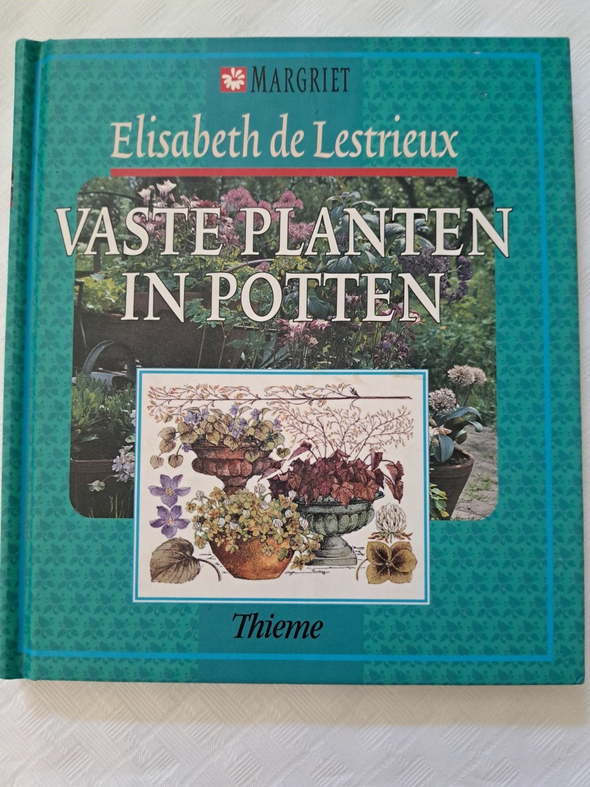 E. de Lestrieux - Vaste planten in potten, Boeken, Natuur, Ophalen of Verzenden, E. de Lestrieux