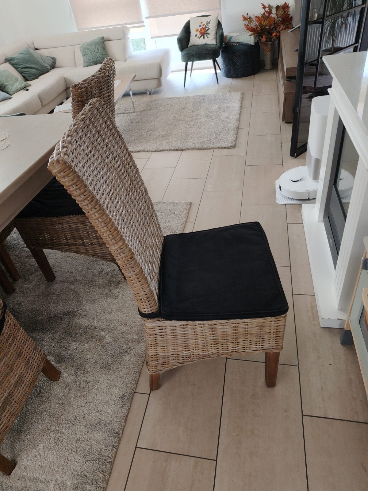 Rotan stoel - 6 stuks - incl zitkussen, Enlèvement, Rotin, Chaise