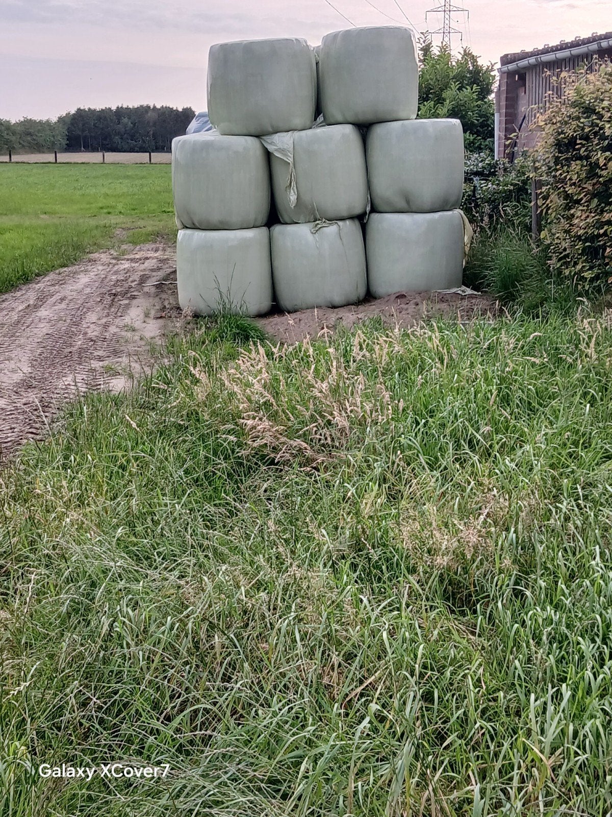 Midibalen voordroog hooi, Dieren en Toebehoren, Ophalen