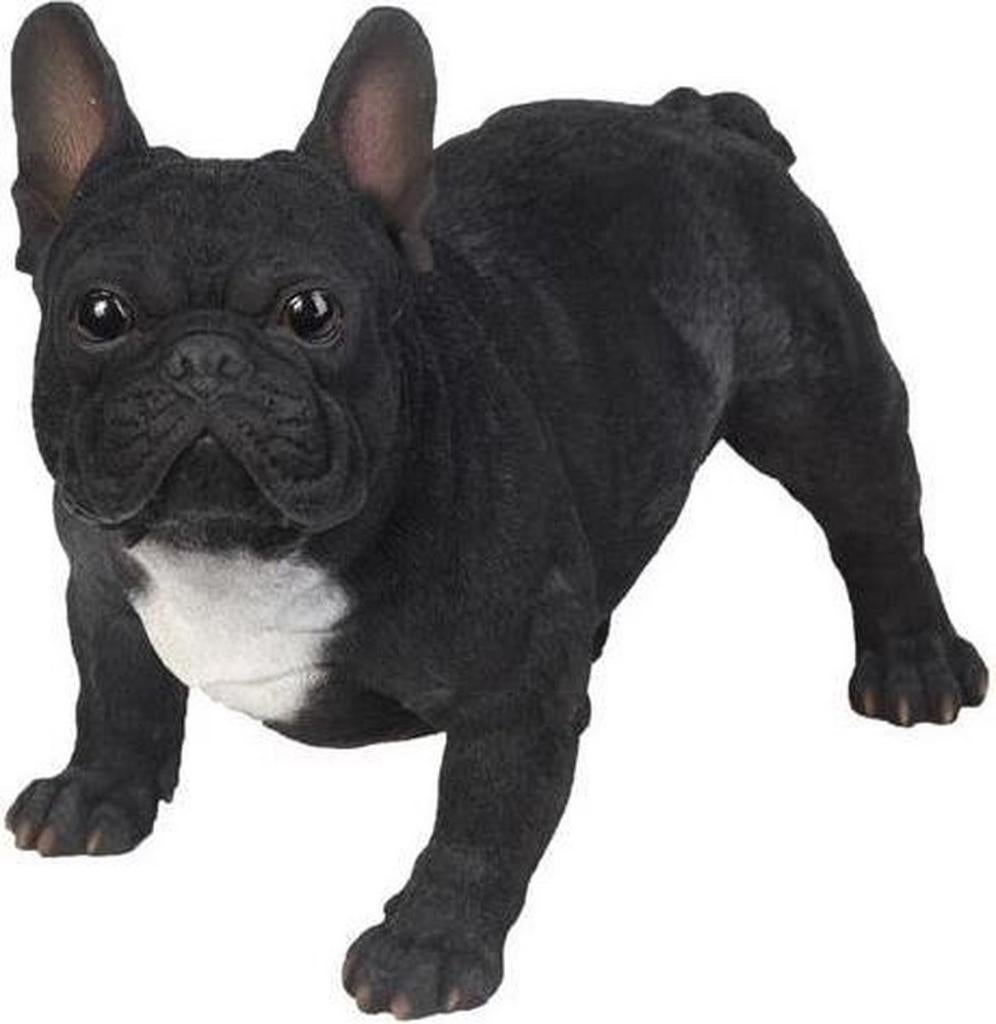 Franse Bulldog tuinbeeld, Ophalen of Verzenden