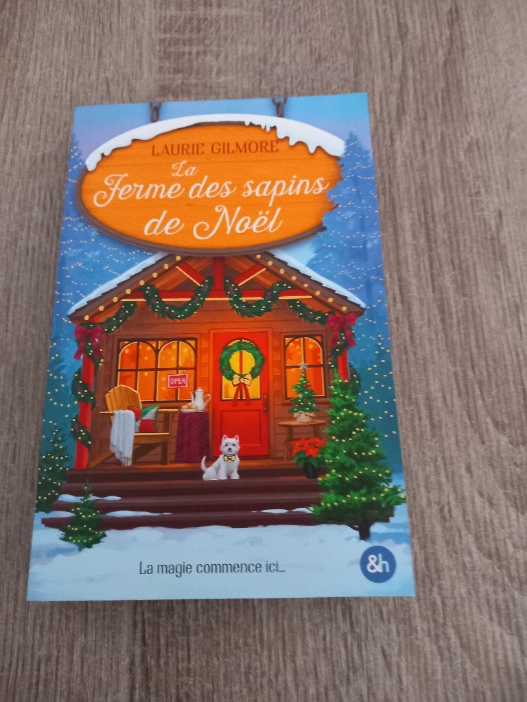 Livre Laurie Gilmore, Enlèvement, Neuf, Laurie Gilmore
