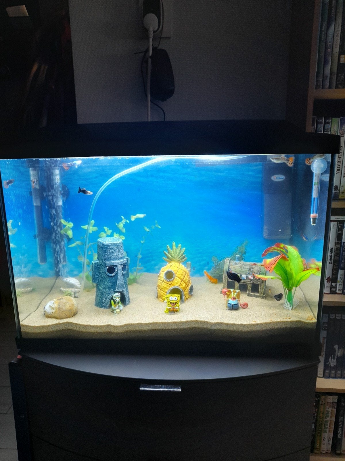 Aquarium met vis en toebehoren, Enlèvement, Plantes incluses, Neuf, Filter