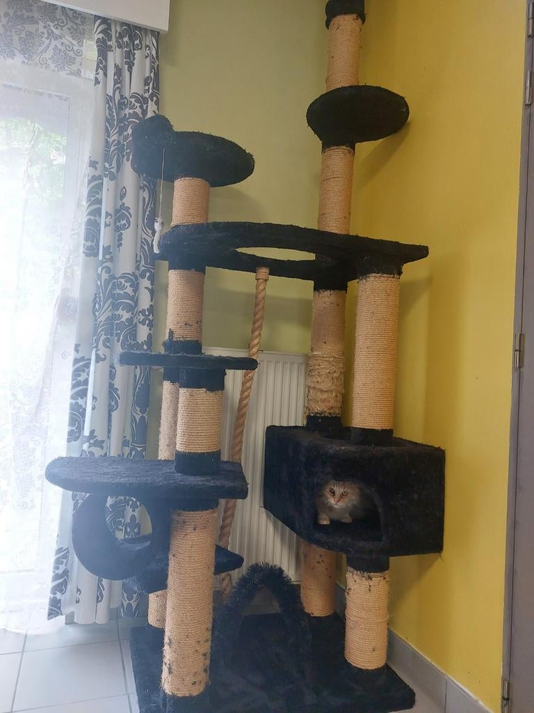 Duvo empire XXL kattenkrabpaal, Ophalen