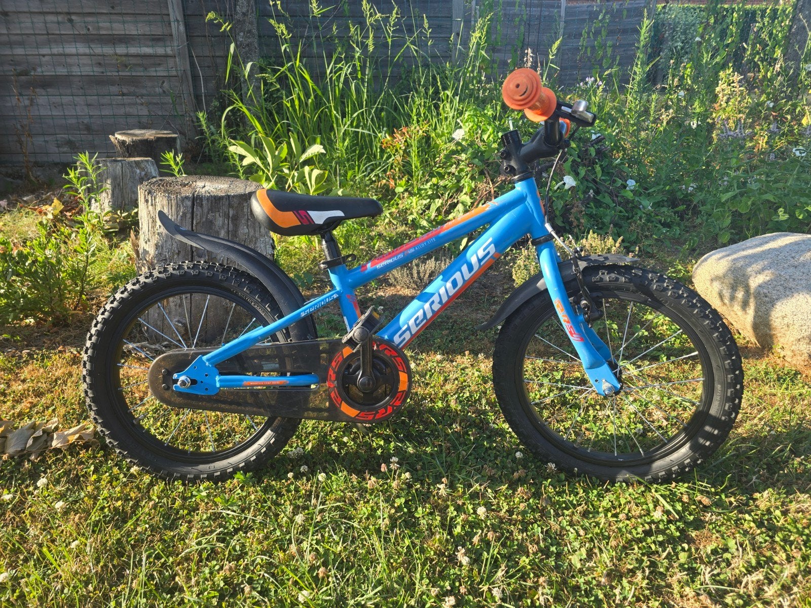 kinderfiets Serious 16 inch, Fietsen en Brommers, Ophalen, Terugtraprem, Serious, 16 tot 20 inch