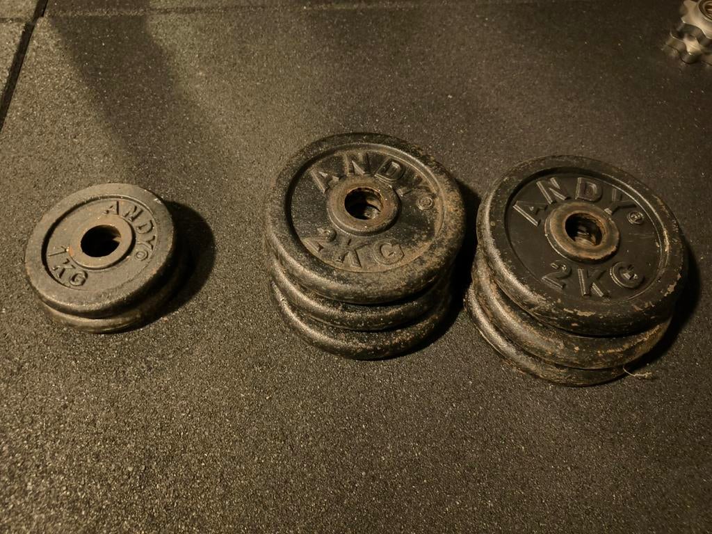 14kg Gewicht 2 kg en 1 kg gietijzeren bodybuilding, Sport en Fitness, Gebruikt