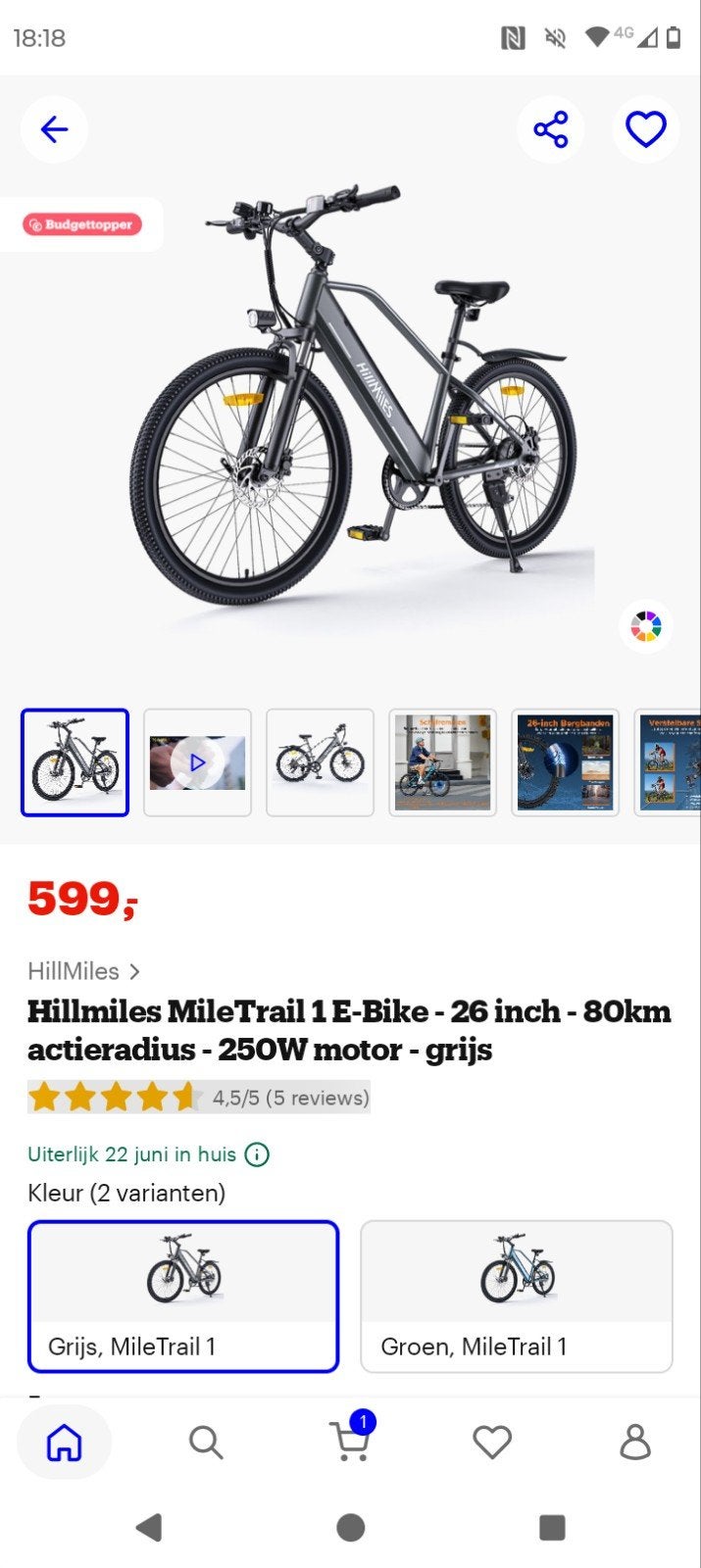 Elektrische fiets Bol.Com, Vélos & Vélomoteurs, Enlèvement