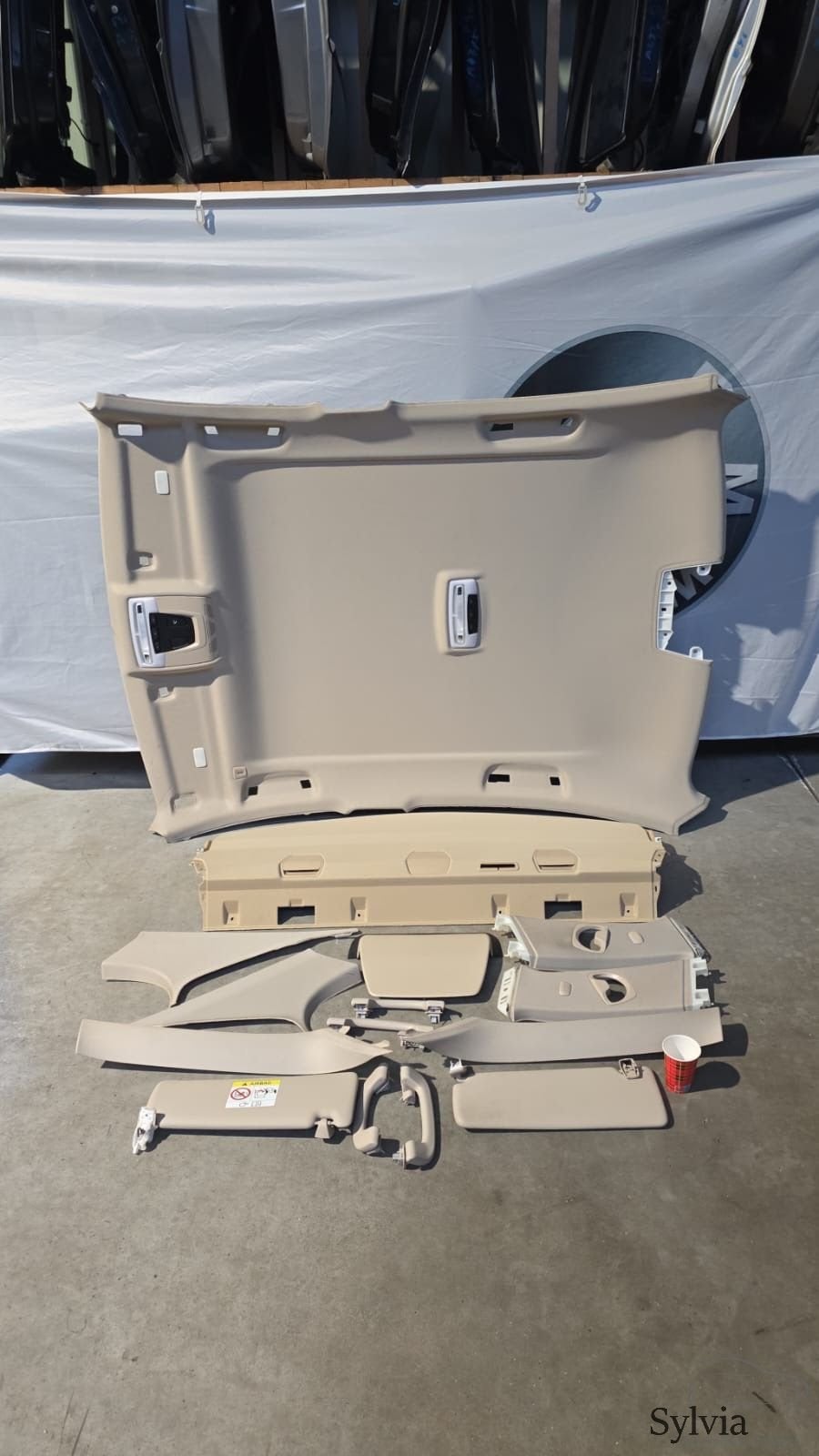 Dakhemel hemelbekleding en hoedenplank beige BMW 3 serie F30, Auto-onderdelen, Gebruikt, -, -, Ophalen of Verzenden