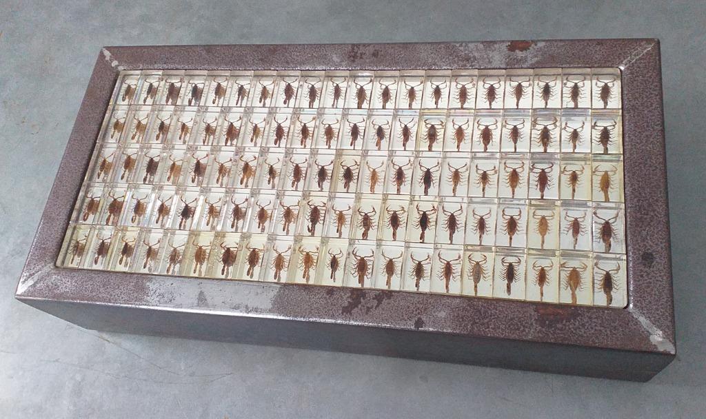 Table de salon "Scorpions", Moins de 50 cm, Enlèvement ou Envoi, 50 à 100 cm, Utilisé