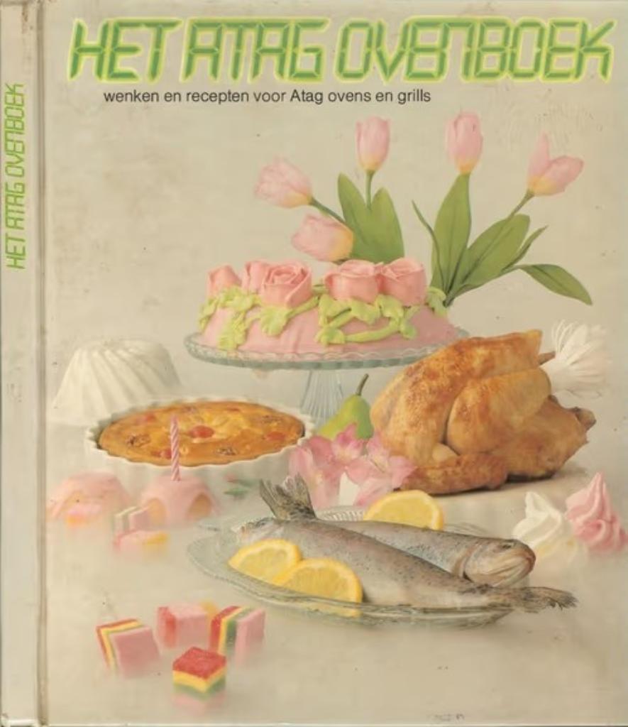 Het Atag ovenboek / keuze uit 2 boeken, Enlèvement ou Envoi, Comme neuf