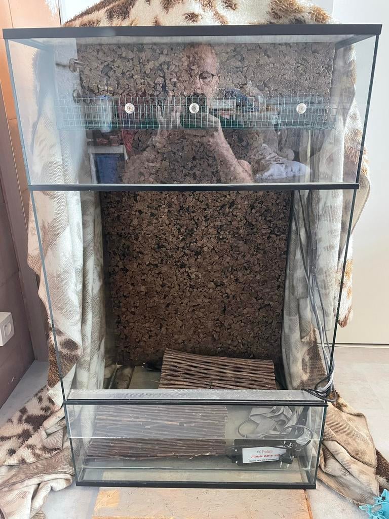 Terrarium met lichtlijst 60x50x100, Ophalen, Zo goed als nieuw