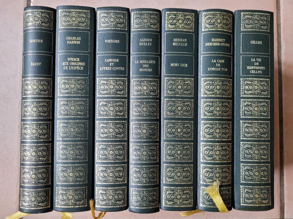Ensemble de livres classiques, Boeken, Literatuur, Zo goed als nieuw, Ophalen of Verzenden