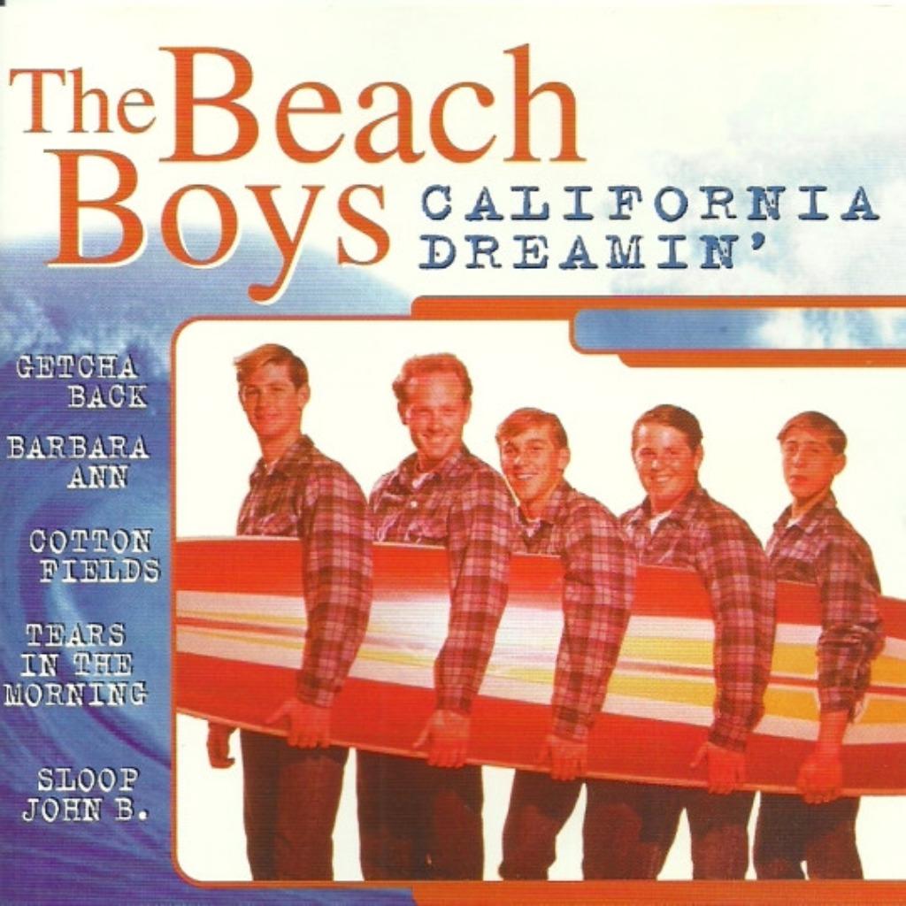 The Beach Boys - California Dreamin', Ophalen of Verzenden, Zo goed als nieuw, Poprock