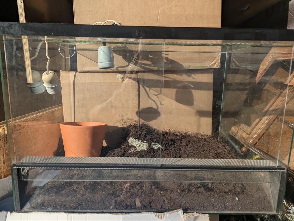 Terrarium, vivarium, Dieren en Toebehoren, Ophalen