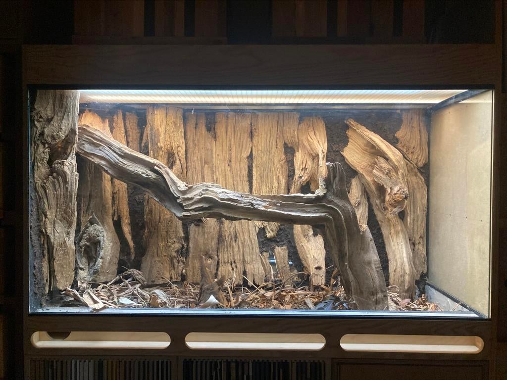 Terrarium paludarium, Enlèvement, Neuf, Terrarium ou Paludarium