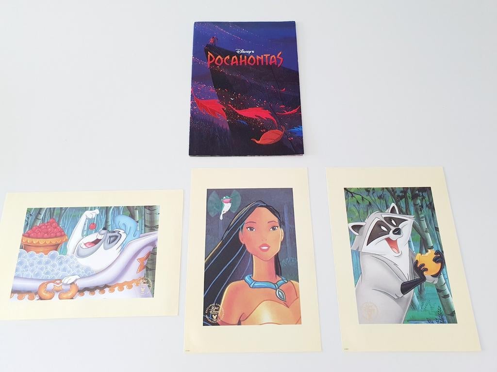 Lithographies Pocahontas Disney, Enlèvement