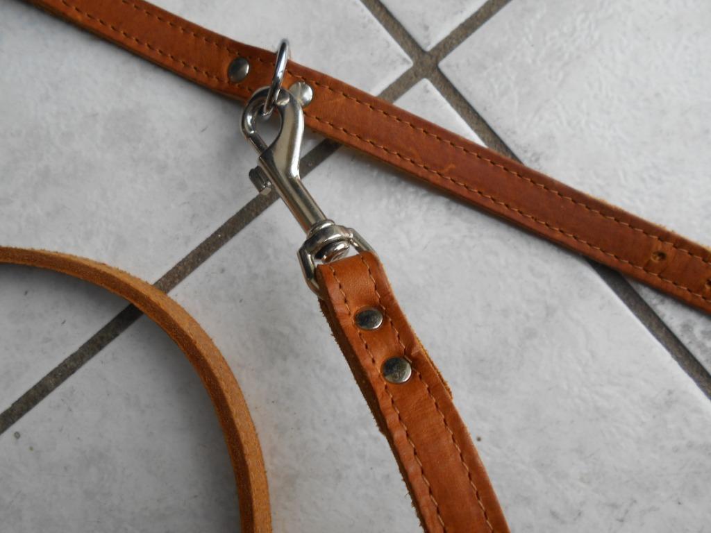LAISSE +COLIER  en cuir ...NEUF....pour chien, Animaux & Accessoires, Enlèvement ou Envoi, Neuf