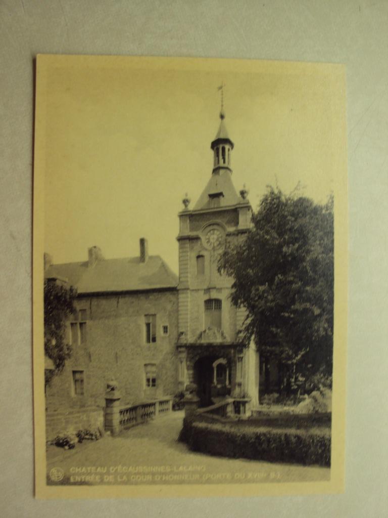 47867 - CHATEAU  D'ECAUSSINNES-LALAING - ENTREE DE LA COUR, Envoi