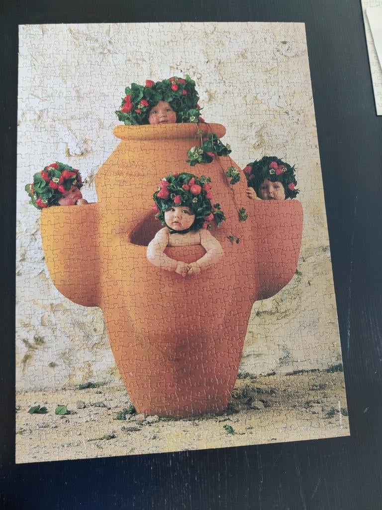 Anne geddes puzzel, Enlèvement ou Envoi