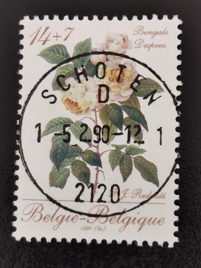 Belgique 1990 - fleurs - roses par Redouté - Desprez, Enlèvement ou Envoi, Affranchi, Autre