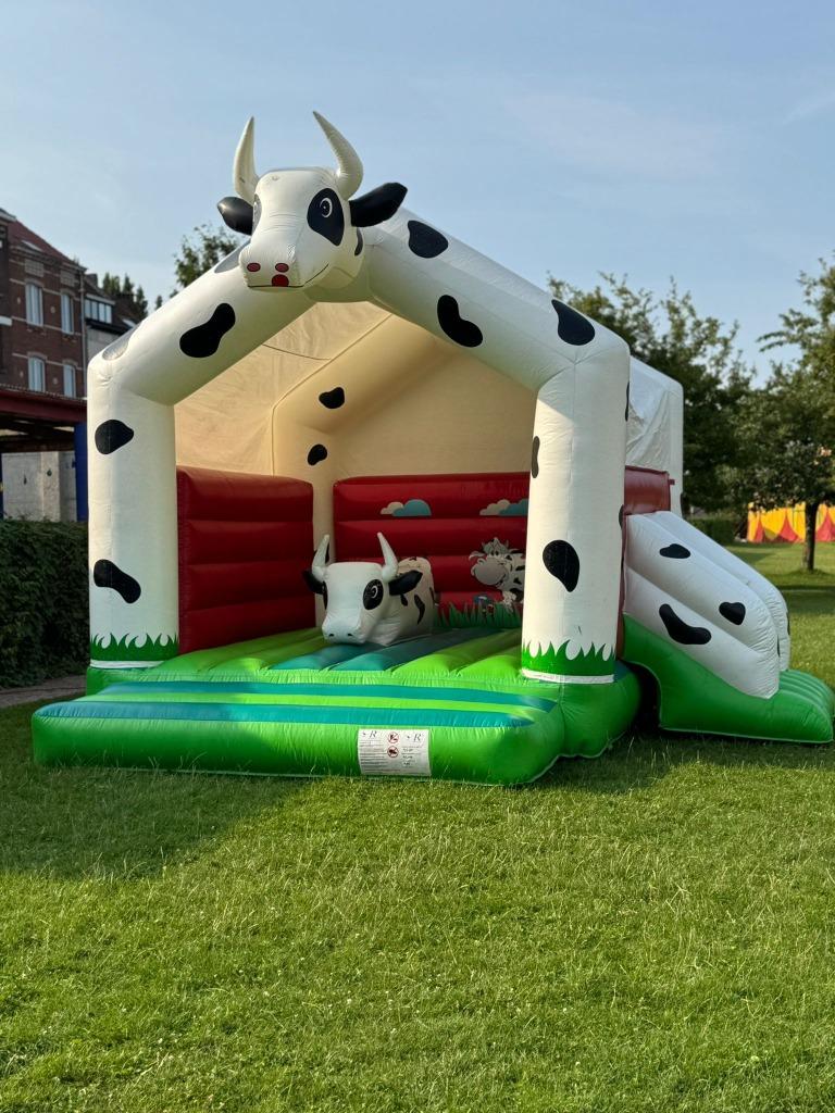 50€ Chateau gonflable à louer, Enlèvement ou Envoi, Comme neuf