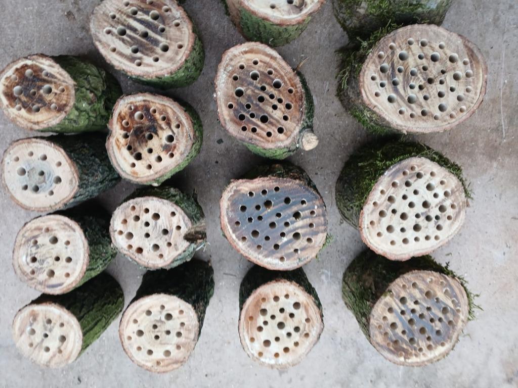 Bijenhotel / bijenschijf / insectenhotel (eik), Tuin en Terras, Ophalen of Verzenden, Nieuw