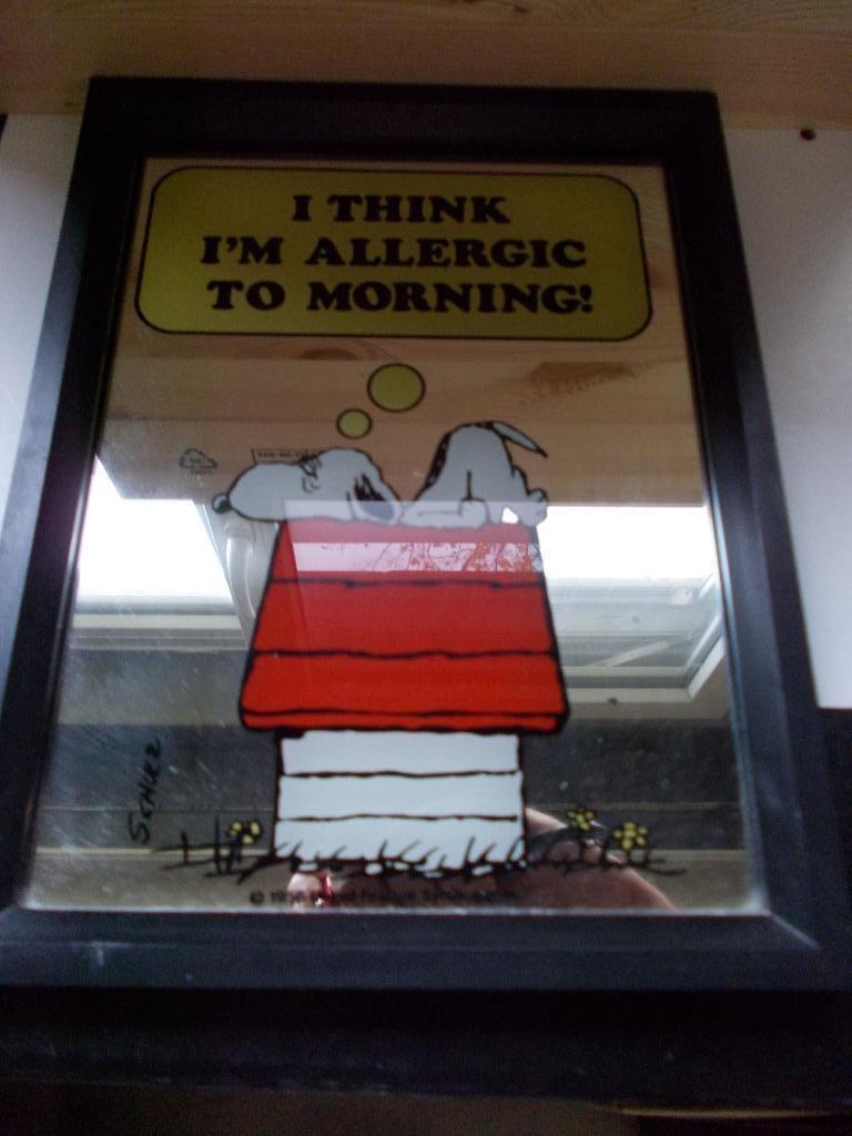 Vintage spiegel Snoopy, Verzamelen, Ophalen of Verzenden, Snoopy, Gebruikt, Gebruiksvoorwerp