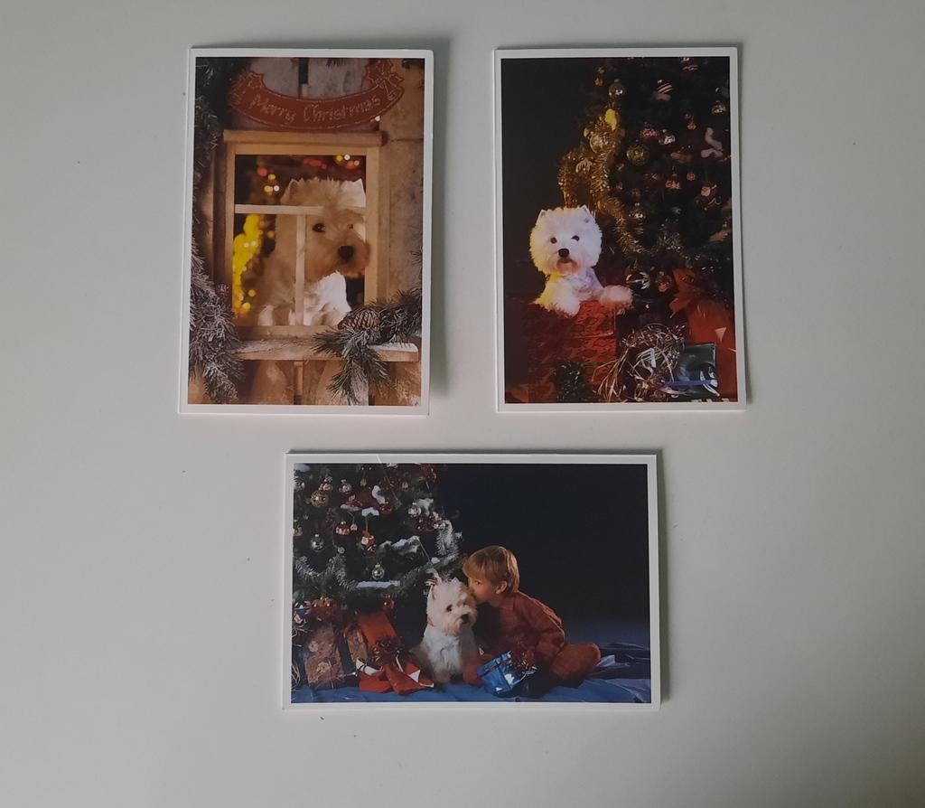 3 cartes de Noël avec un chien, Enlèvement ou Envoi