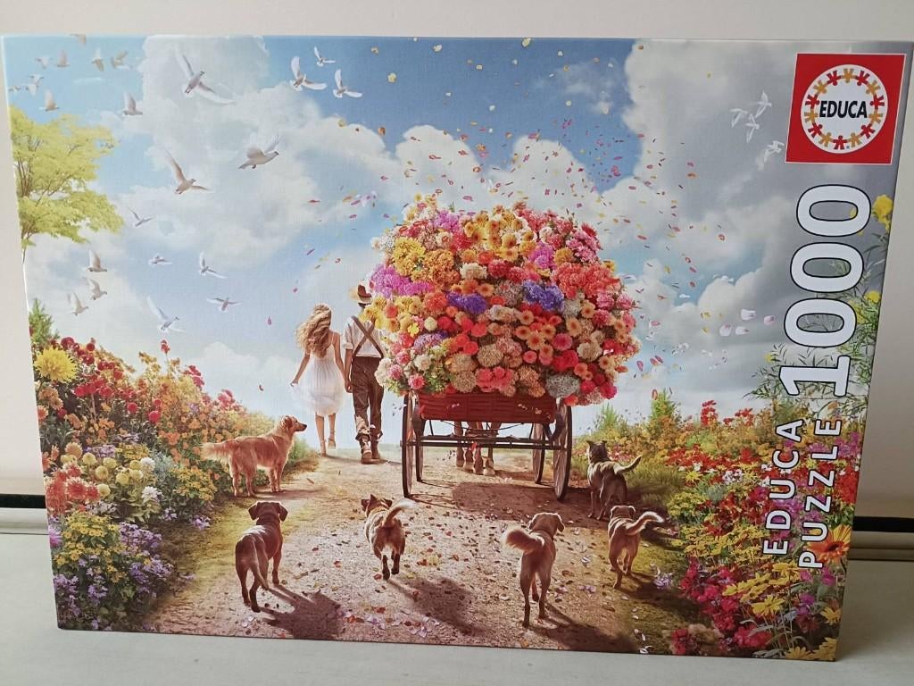 Puzzel Educa  1000 stukjes, Ophalen of Verzenden, 500 t/m 1500 stukjes, Zo goed als nieuw, Legpuzzel