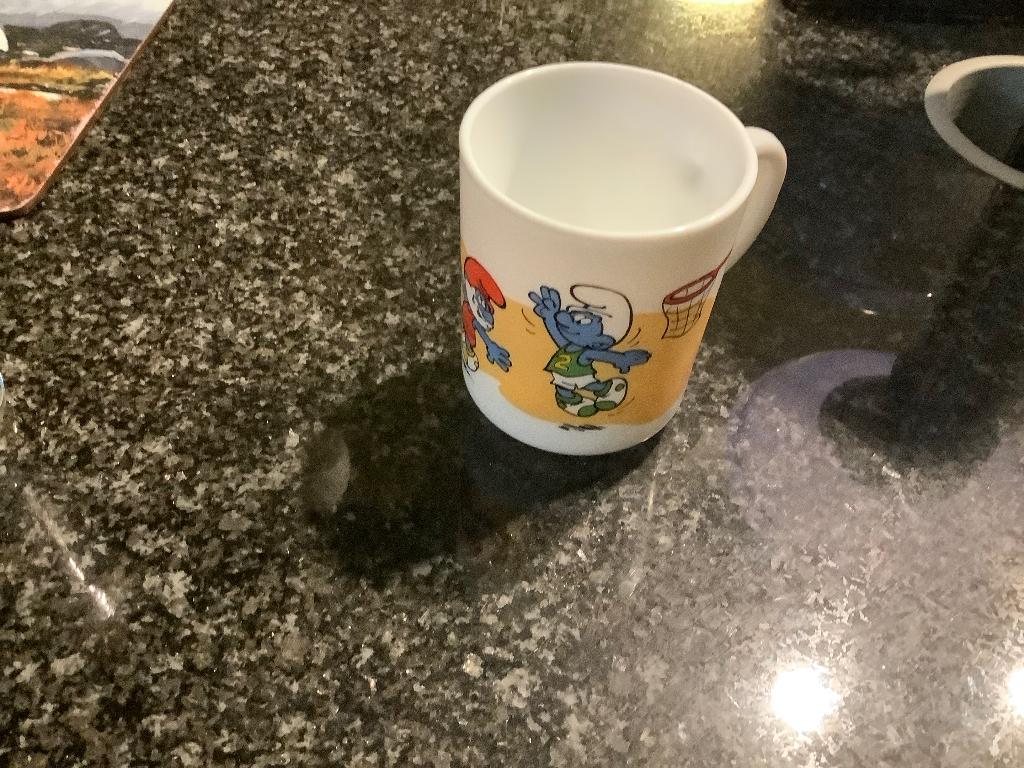 Tas Smurfen, Verzamelen, Ophalen of Verzenden, Nieuw, Verschillende Smurfen, Gebruiksvoorwerp