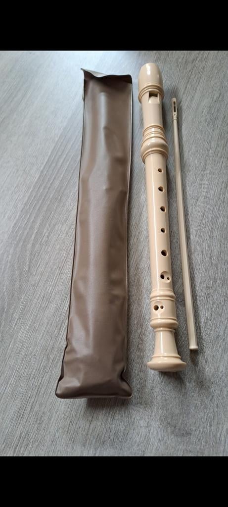Flûte à bec dans son étui, Musique & Instruments, Instruments à vent | Flûtes à bec, Enlèvement, Comme neuf