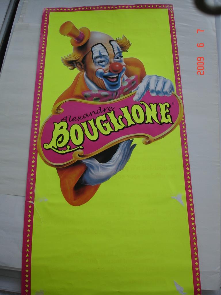 Bouglione Cirque - affiche 65x32 - 2009, Enlèvement ou Envoi, Rectangulaire vertical, A1 jusqu'à A3, Utilisé