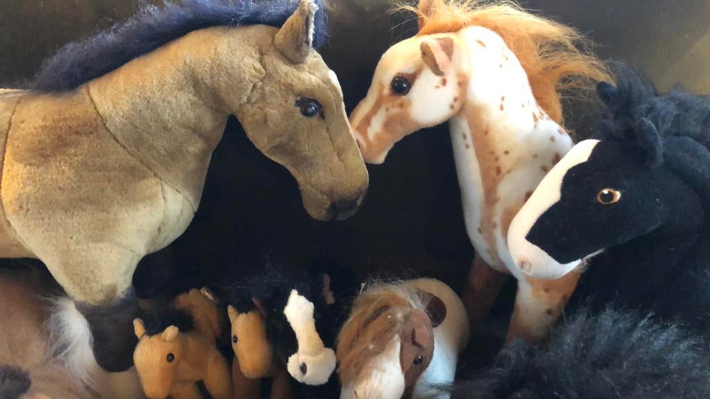 Paarden, Ophalen, Gebruikt, Paard