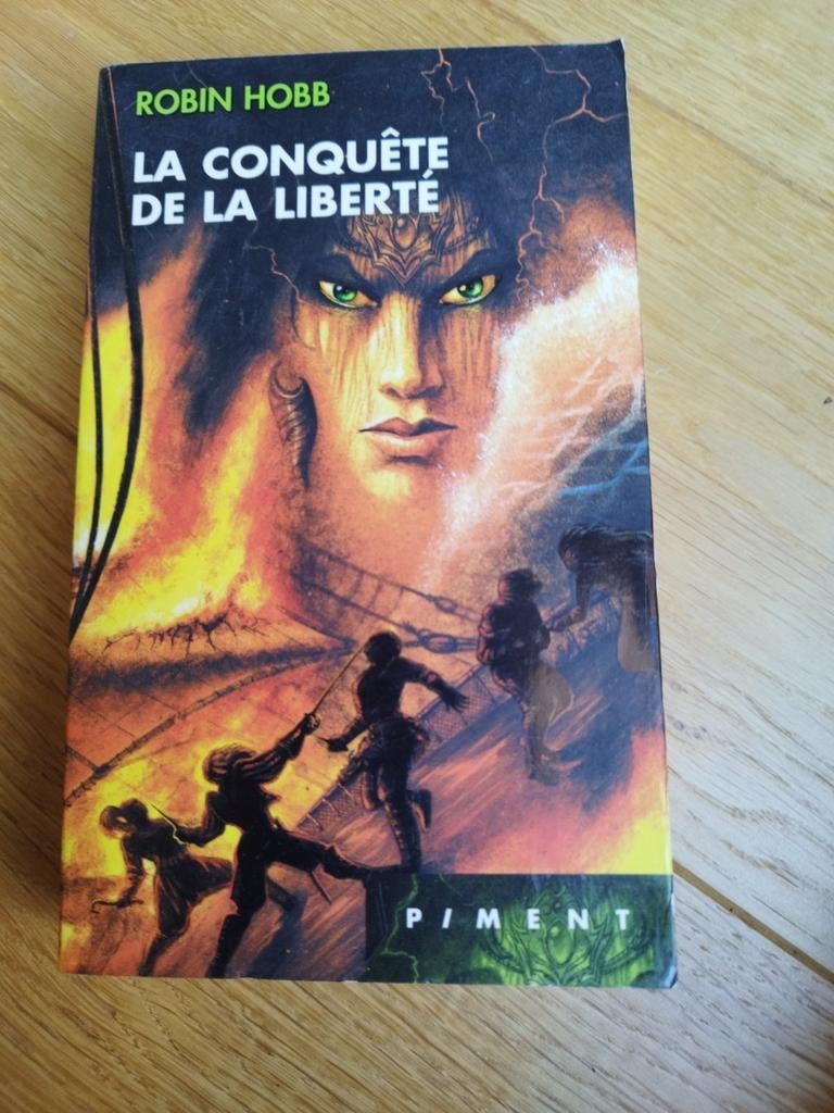 Les aventuriers de la mer 3 : La conquête de la liberté Hobb, Ophalen of Verzenden, Zo goed als nieuw