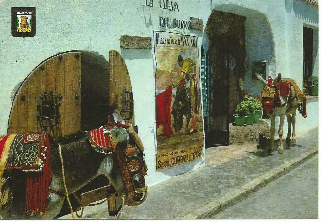 18 Ezel Mijas, Envoi